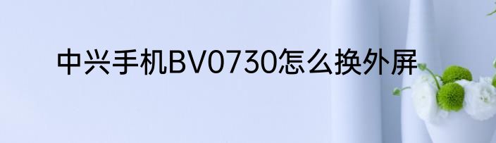 中兴手机BV0730怎么换外屏