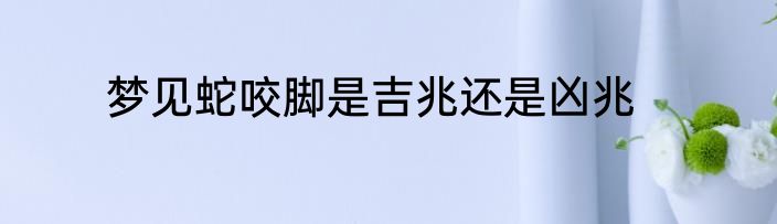 梦见蛇咬脚是吉兆还是凶兆