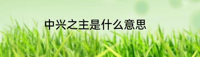 中兴之主是什么意思
