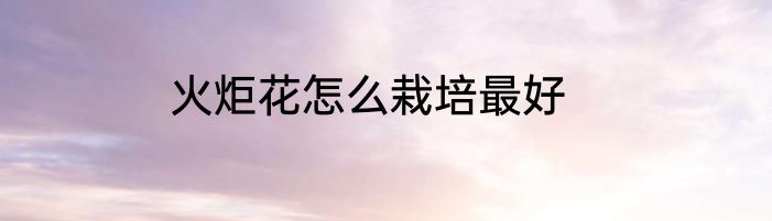 火炬花怎么栽培最好
