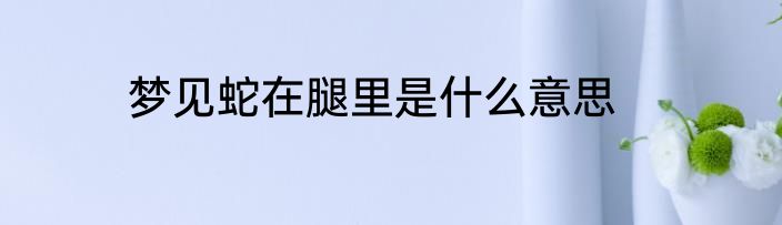 梦见蛇在腿里是什么意思