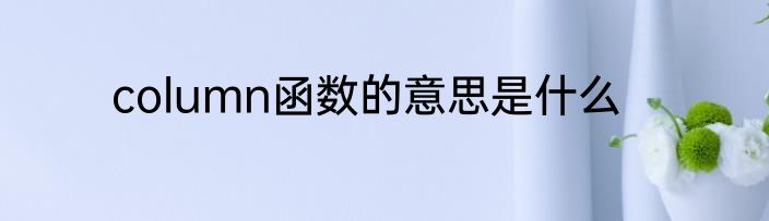column函数的意思是什么