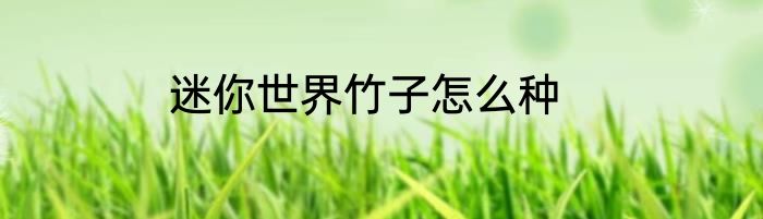 迷你世界竹子怎么种