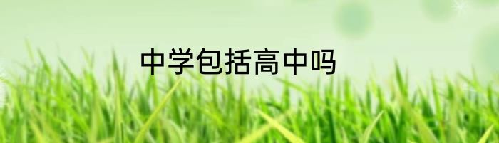 中学包括高中吗