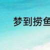 梦到捞鱼很多很多鱼是什么意思