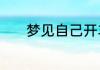 梦见自己开车撞车是什么意思