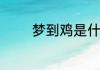 梦到鸡是什么意思周公解梦