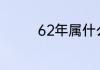 62年属什么生肖是什么命
