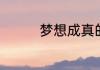 梦想成真的同义词有哪些