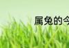 属兔的今年多大2023
