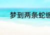 梦到两条蛇缠在一起预示着什么