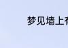 梦见墙上有洞有什么征兆