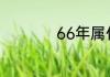 66年属什么生肖属相