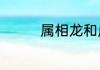 属相龙和虎做夫妻好不好