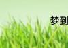 梦到去偷东西