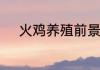 火鸡养殖前景火鸡养殖前景简述
