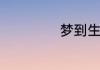 梦到生男孩的寓意