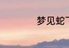 梦见蛇飞是什么意思