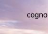 cognac是什么意思