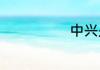 中兴是什么公司
