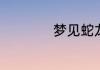 梦见蛇龙是什么意思