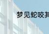 梦见蛇咬其他人是什么意思