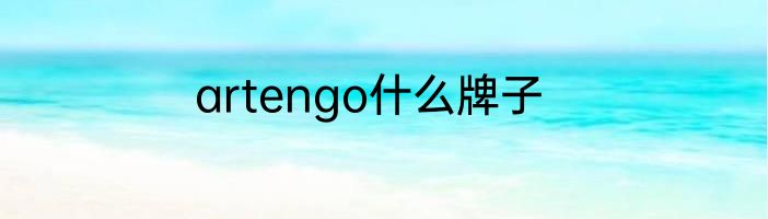 artengo什么牌子