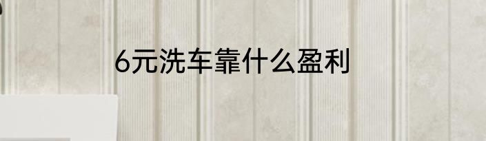 6元洗车靠什么盈利