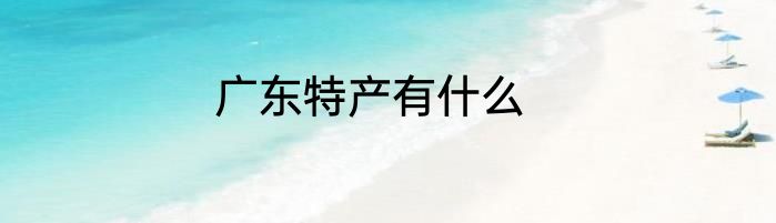 广东特产有什么