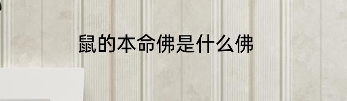 鼠的本命佛是什么佛