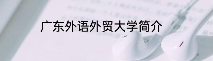 广东外语外贸大学简介