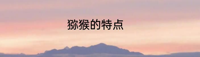猕猴的特点