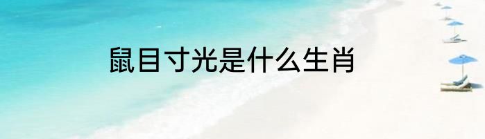 鼠目寸光是什么生肖