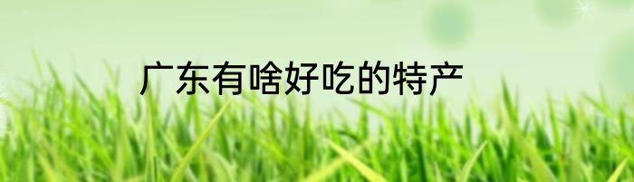 广东有啥好吃的特产