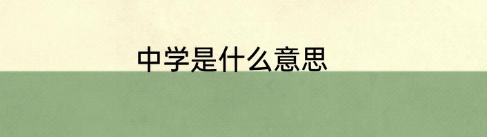 中学是什么意思