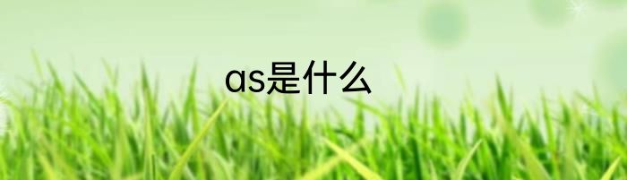 as是什么