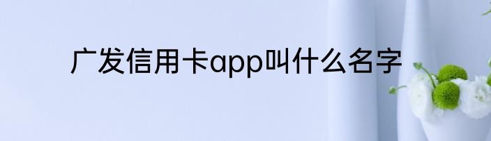 广发信用卡app叫什么名字