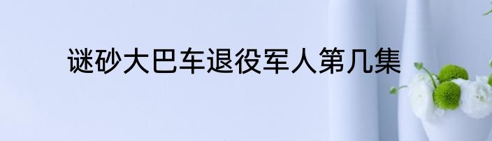 谜砂大巴车退役军人第几集