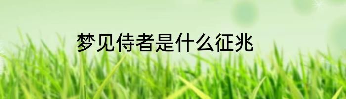 梦见侍者是什么征兆
