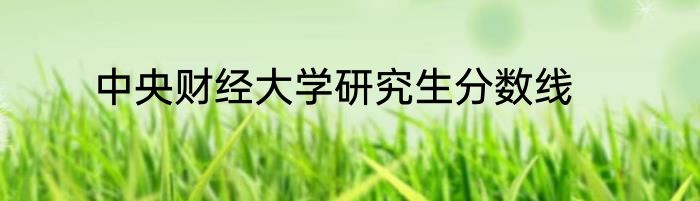 中央财经大学研究生分数线