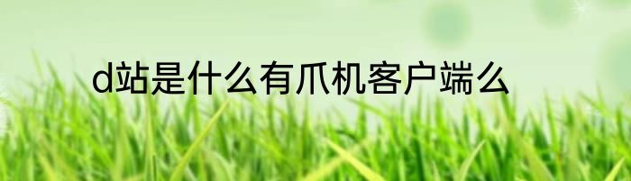 d站是什么有爪机客户端么