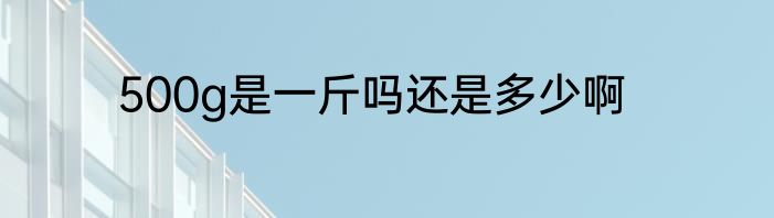 500g是一斤吗还是多少啊