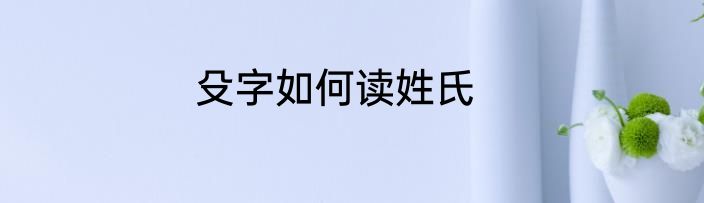 殳字如何读姓氏
