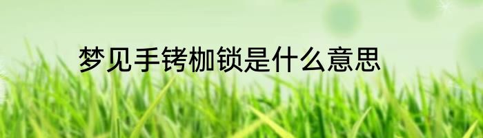 梦见手铐枷锁是什么意思