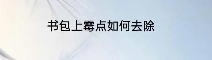 书包上霉点如何去除