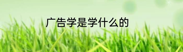 广告学是学什么的