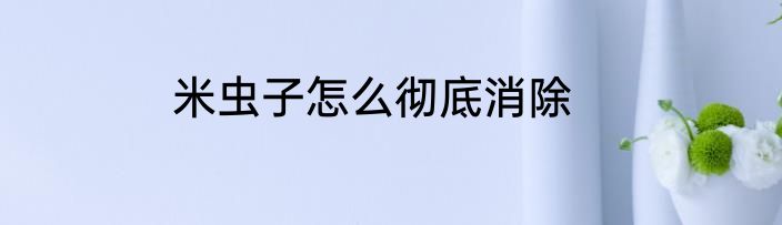 米虫子怎么彻底消除