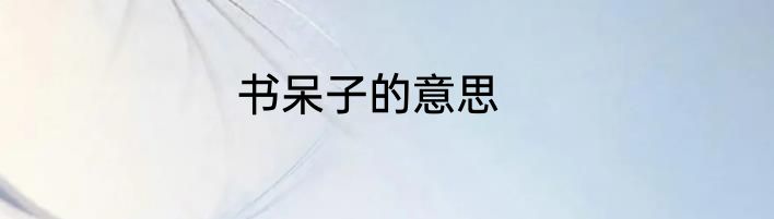 书呆子的意思