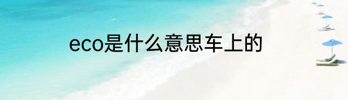 eco是什么意思车上的
