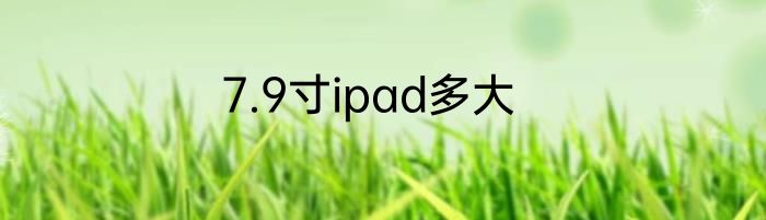 7.9寸ipad多大